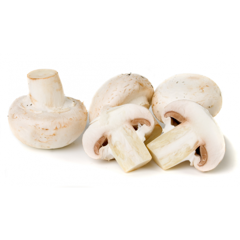 Champignons