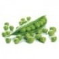 Petit pois