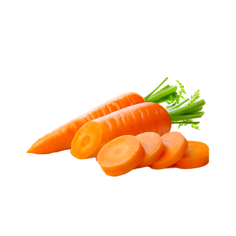 Carottes